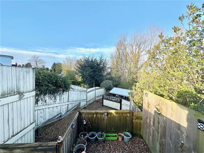 Picture 21